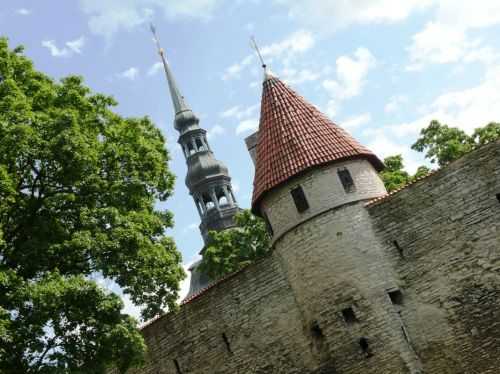 MARATONA DI TALLINN 2013